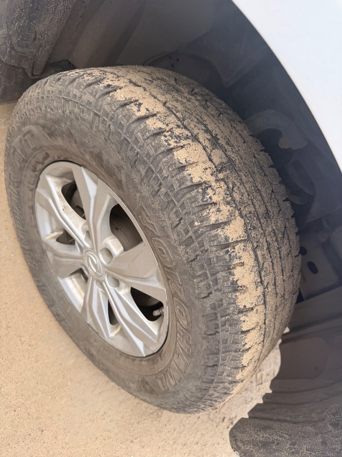 Dongfeng DF6, 2022 — Все фото
