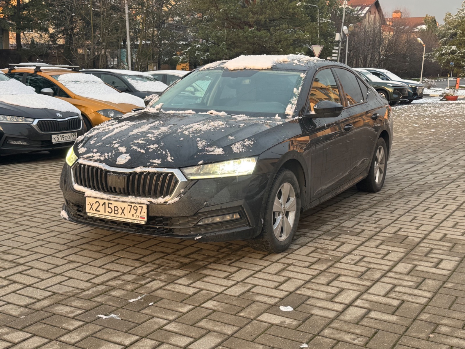 ШКОДА ОКТАВИЯ , 2020 — Все фото
