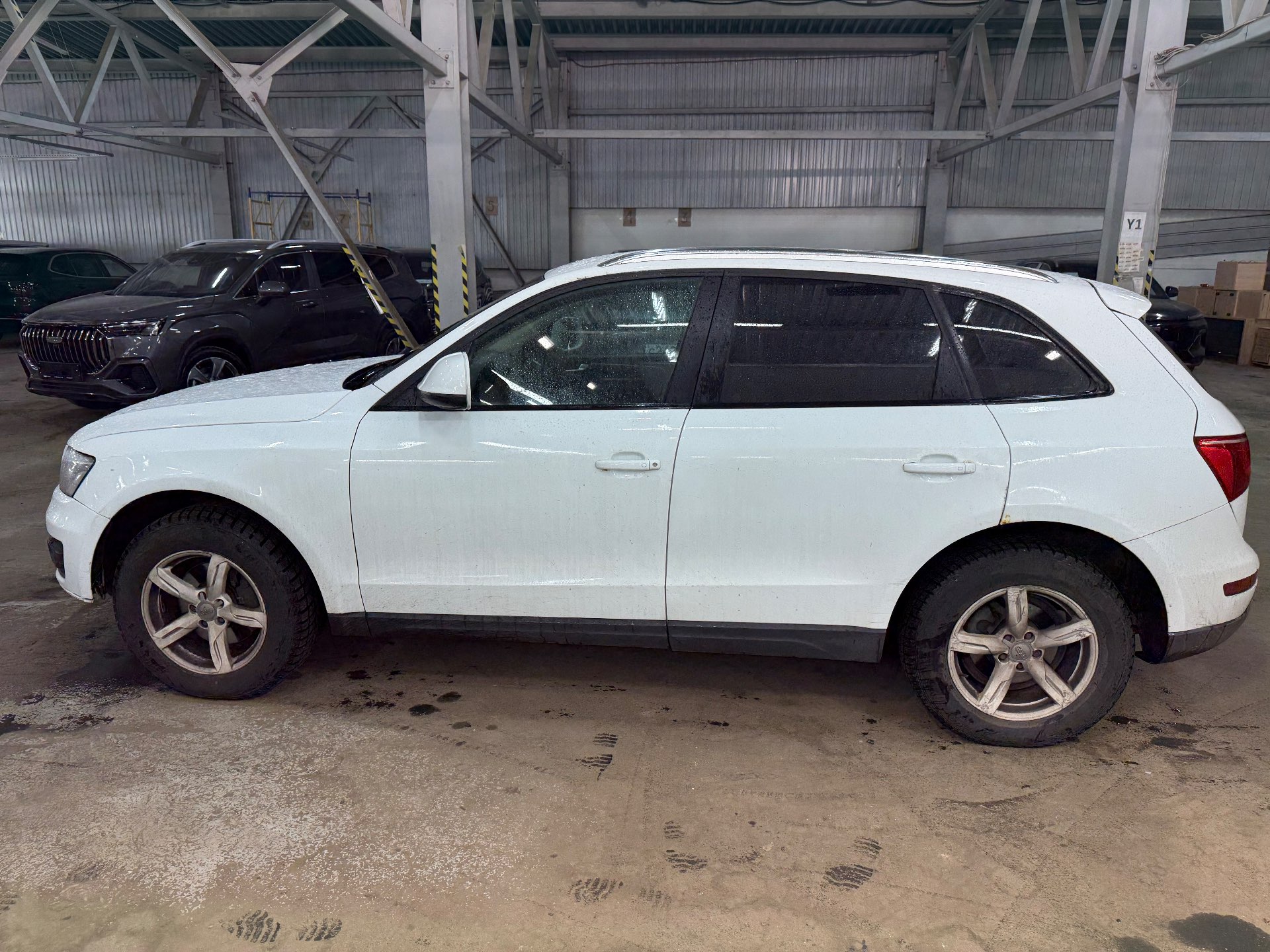 Audi Q5, 2010 — Снаружи