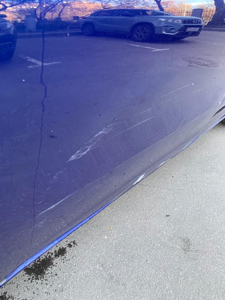 Citroen C4 PICASSO, 2017 — Все фото