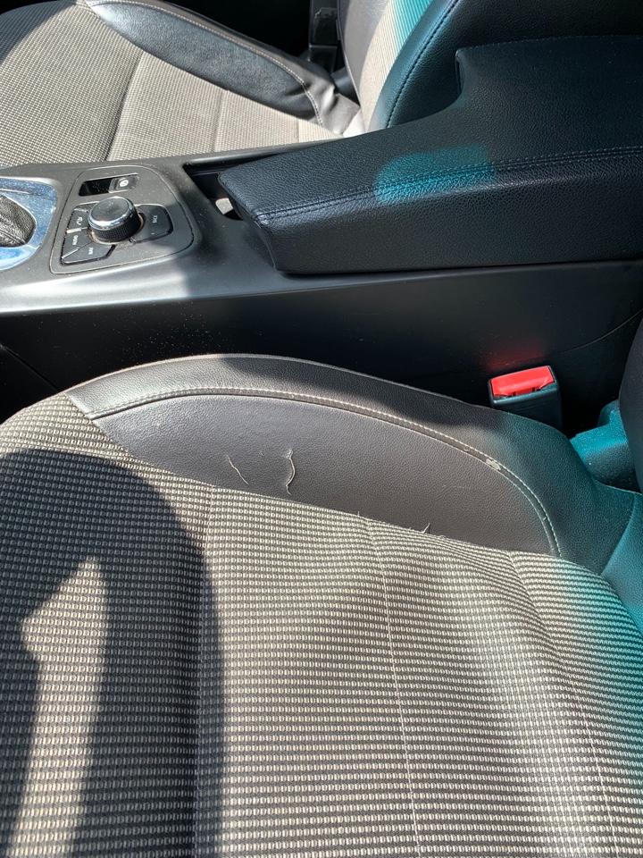 Opel Insignia Station Wagon, 2013 — Все фото
