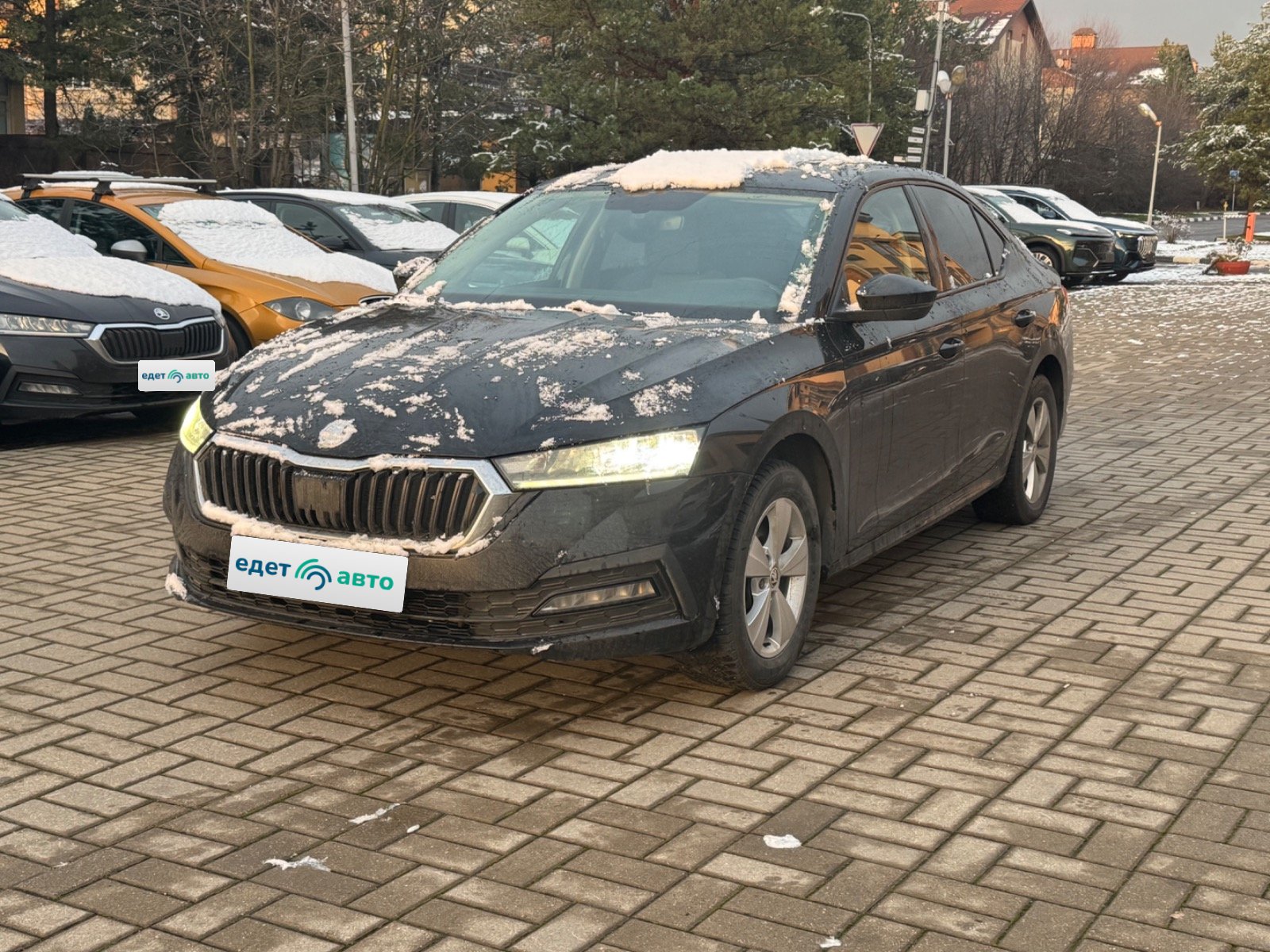 ШКОДА ОКТАВИЯ , 2020 — Все фото
