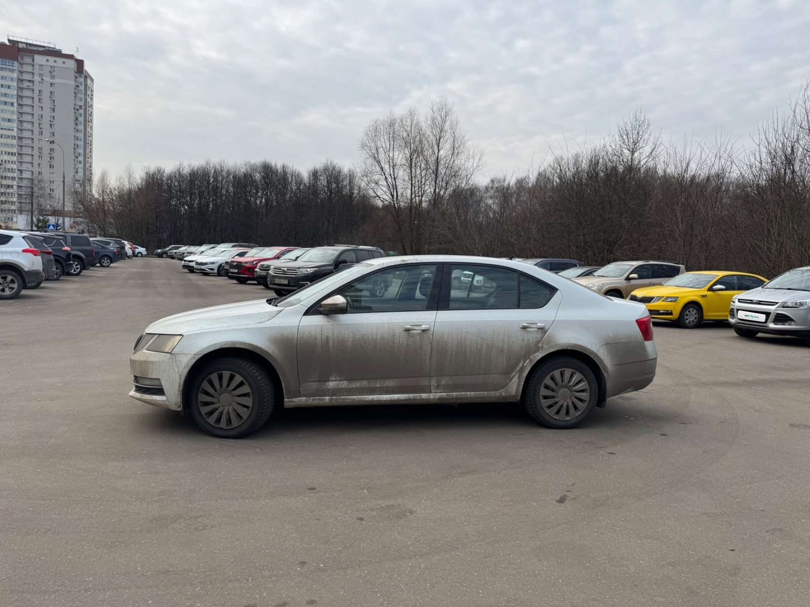Skoda Octavia 3 поколение [рестайлинг] 2020 — Все фото
