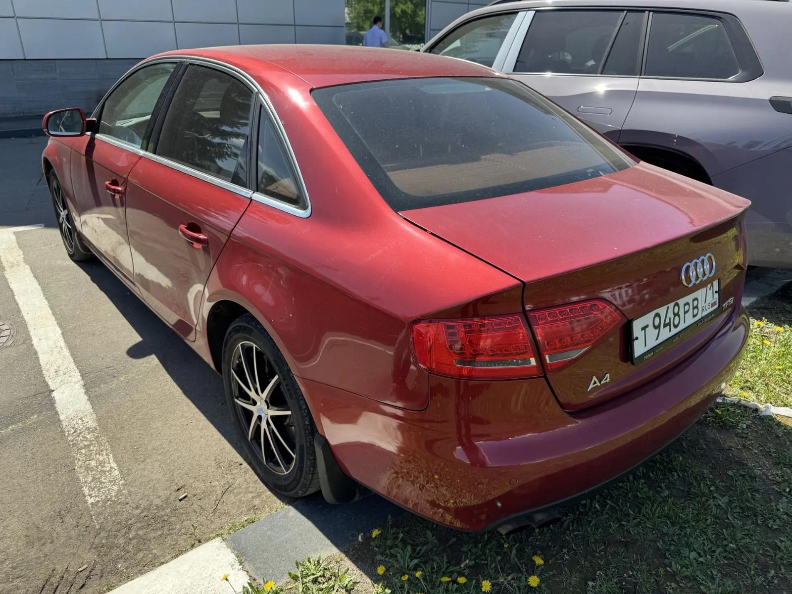 Audi A4, 2010 — Все фото