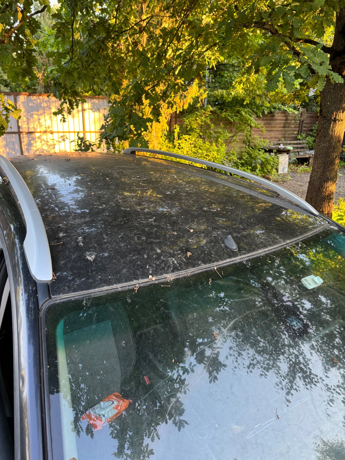 Ford Focus, 2010 — Снаружи
