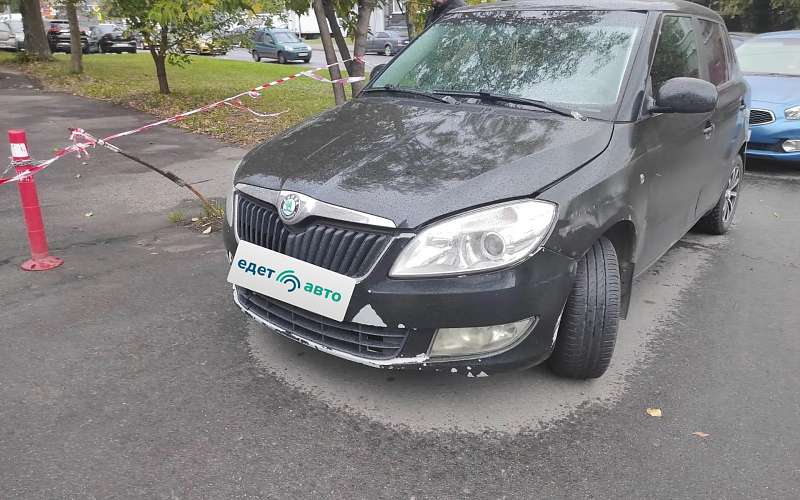 Skoda Fabia, 2010